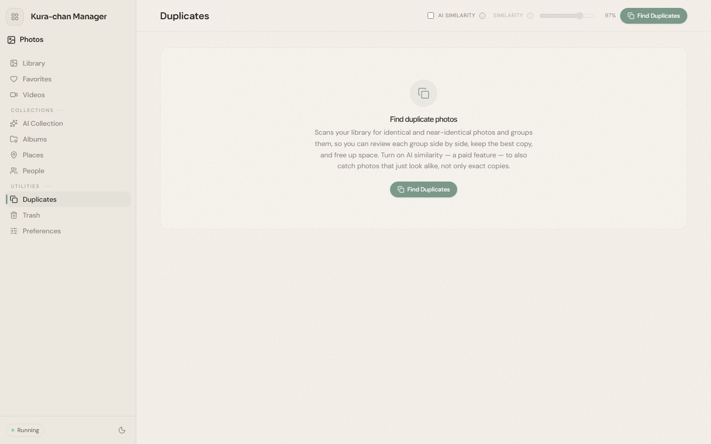 The Duplicates page in the Dashboard